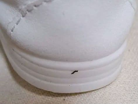 SixTONES 京本大我くん オリジナル20cmぬいぐるみ