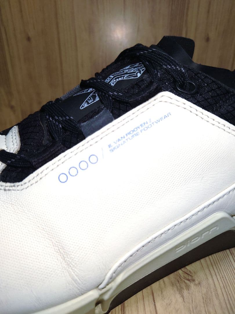 ECCO Golf　Biom H4　限定品　コラボモデル　サイズ42