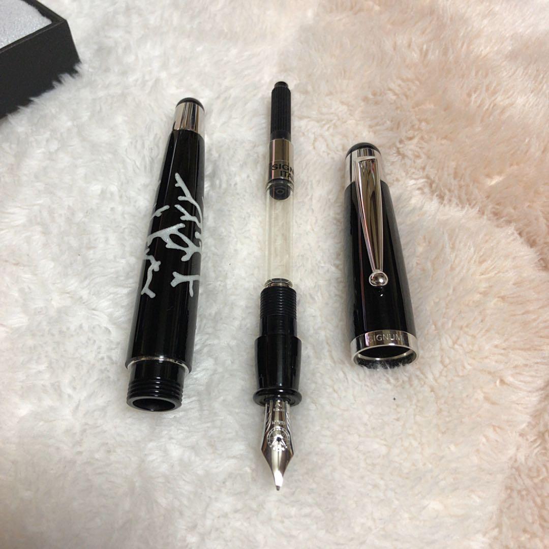 ☆未使用品 シグナム コラーロ 万年筆 ホワイト 18金 ニブF☆