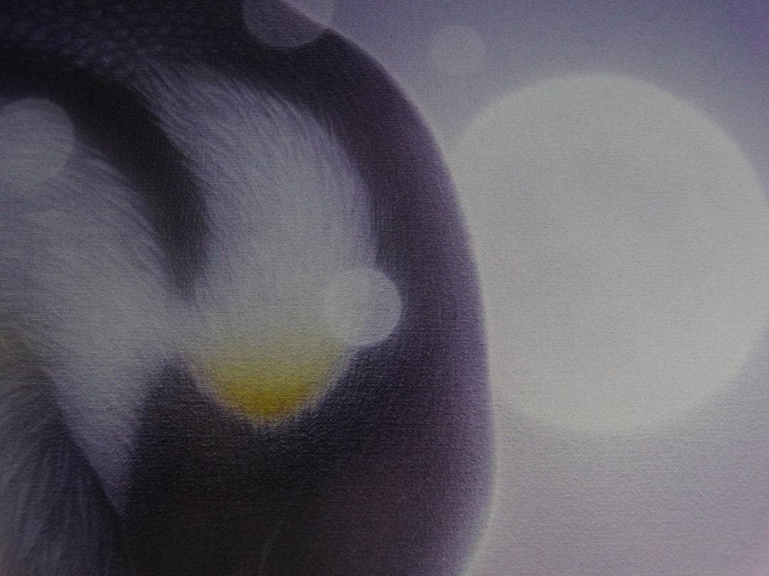 西野健太郎、【大丈夫だよ3】、希少な額装用画集より、厳選、新品額装