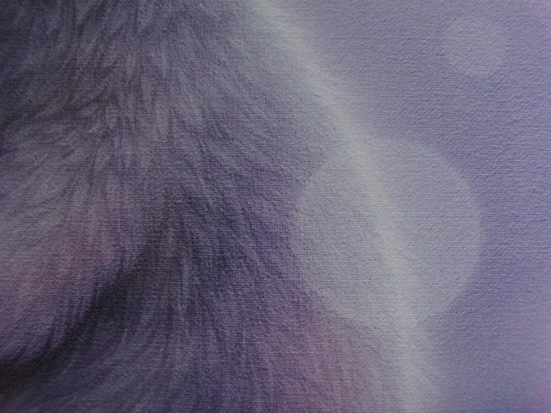 西野健太郎、【大丈夫だよ3】、希少な額装用画集より、厳選、新品額装