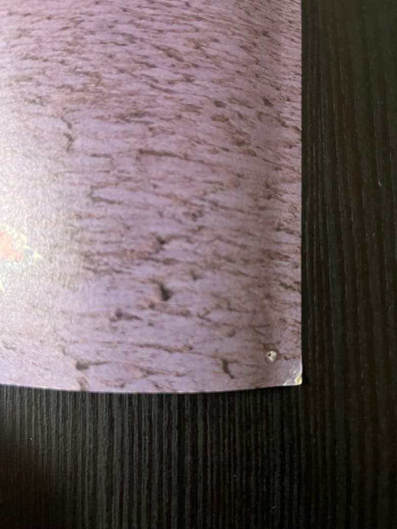 AYU TU-KA ヒョウ柄 ポスター