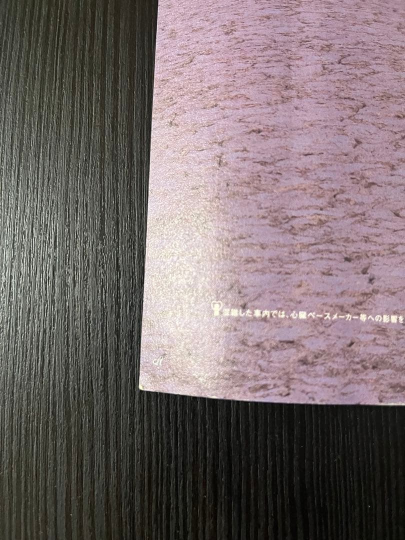 AYU TU-KA ヒョウ柄 ポスター