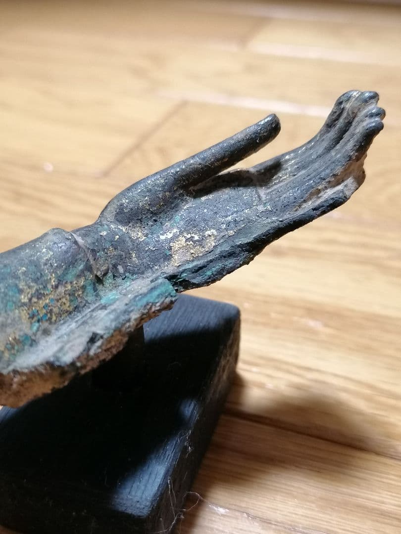 佛の手 救いの手