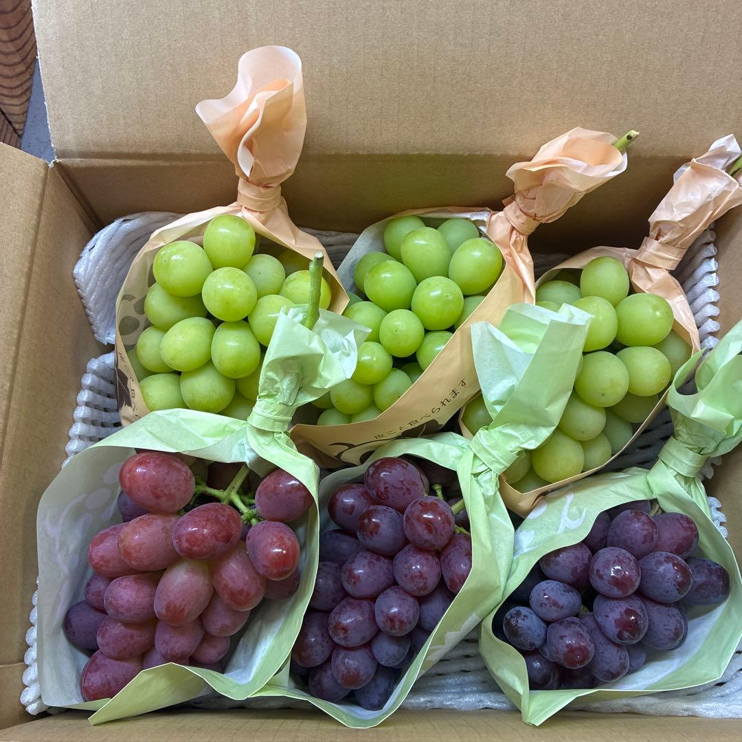 本日採れたて！朝採りぶどう2種セットシャインマスカット3房&クイーンルージュ3房