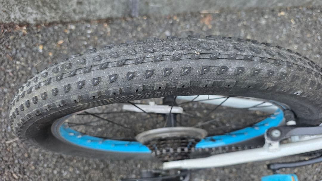 トレック　２０インチ　子供用自転車