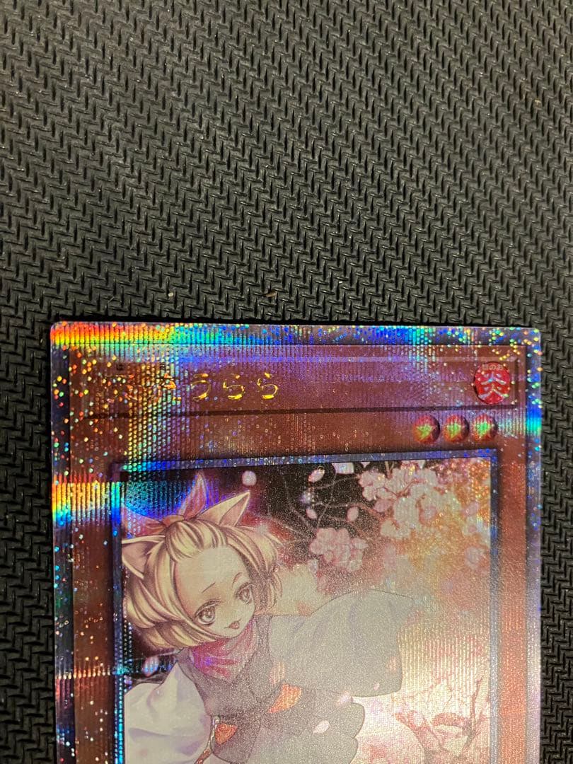 灰流うらら はるうらら　クォーターセンチュリー　25th シークレット