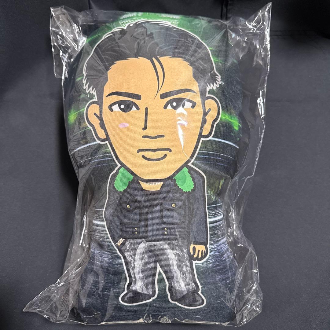 小波津志 BOT クッション