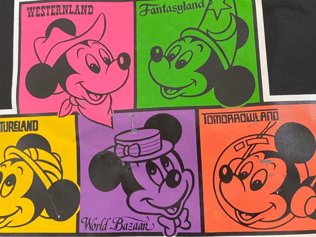 東京ディズニーランド　ファスナー付　トートバック