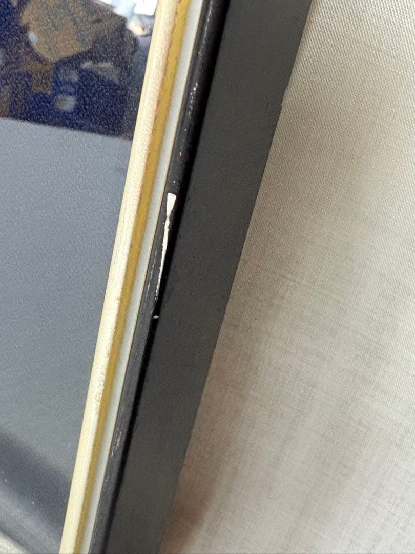 「春光」　土肥武雄　絵画　日本画　鳥　花