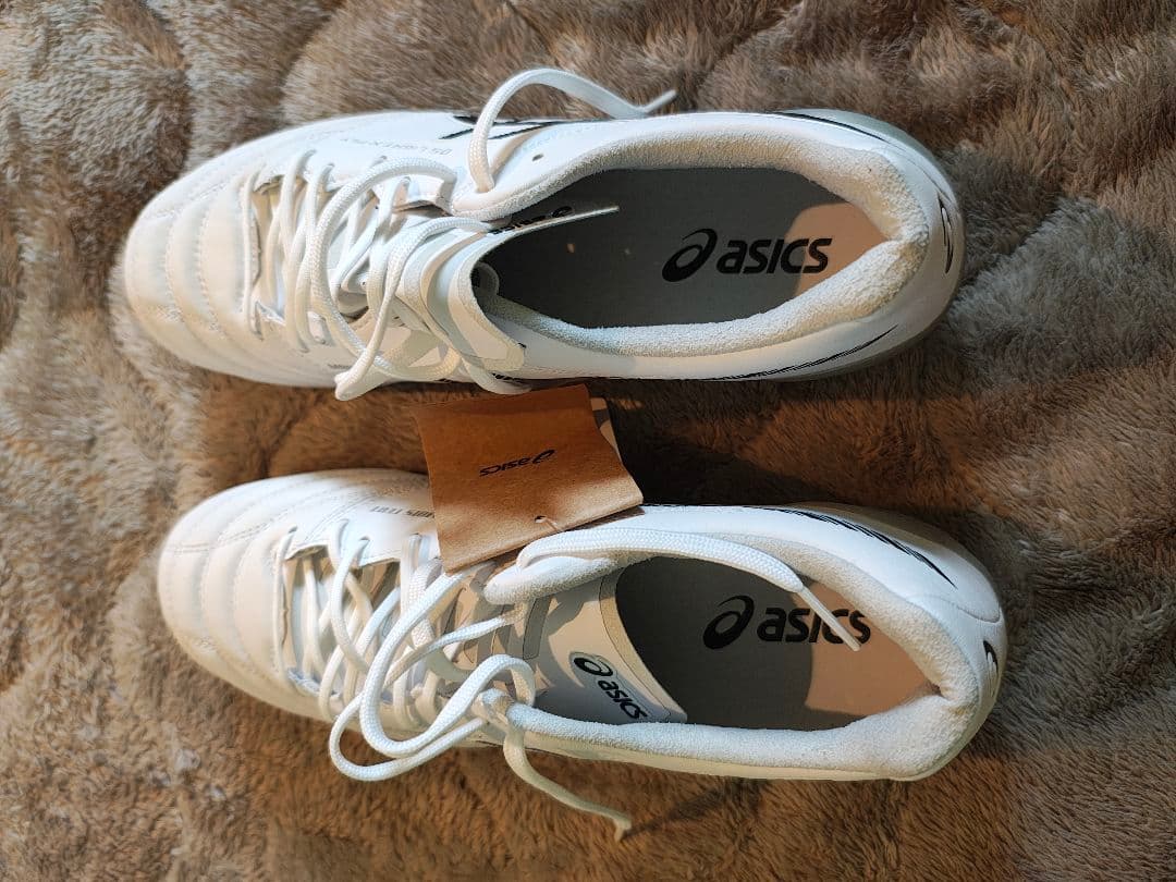 アシックス DS LIGHT X-FLY 5 27.0 cm 2E