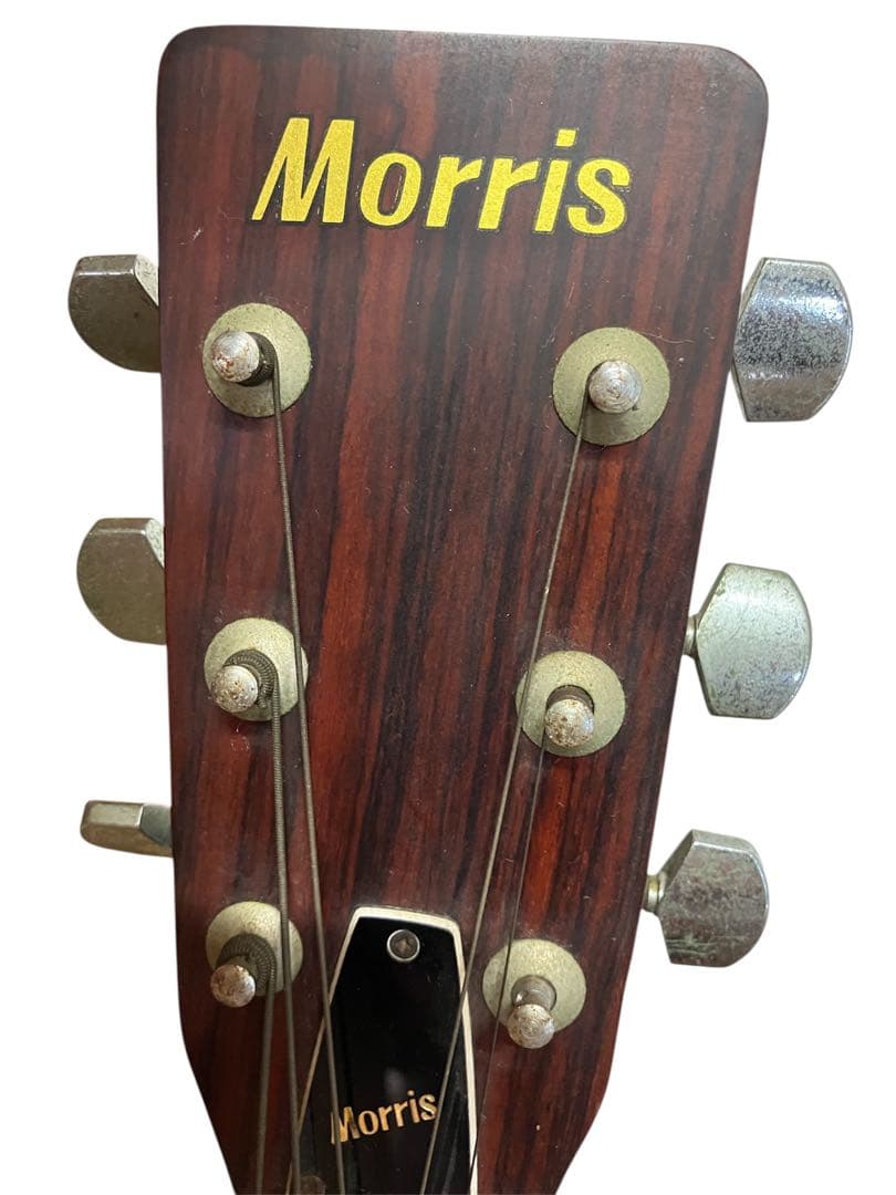 Morris W-18 アコースティックギター
