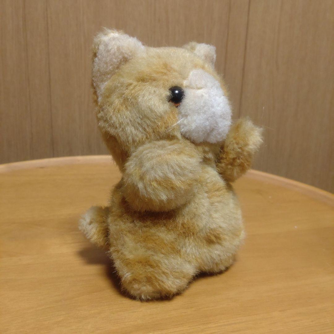 子猫物語　チャトラ