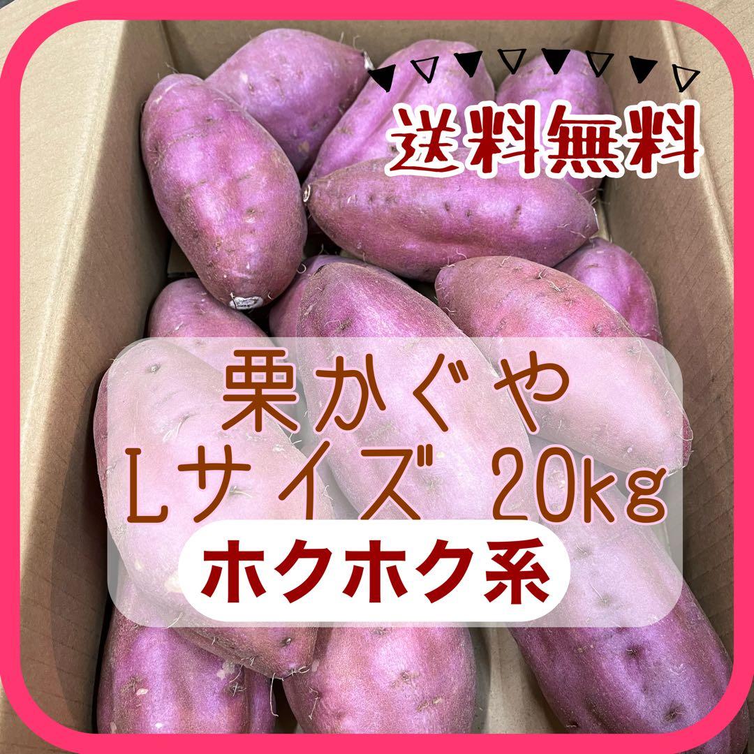 栗かぐや Lサイズ 20kg ホクホク系