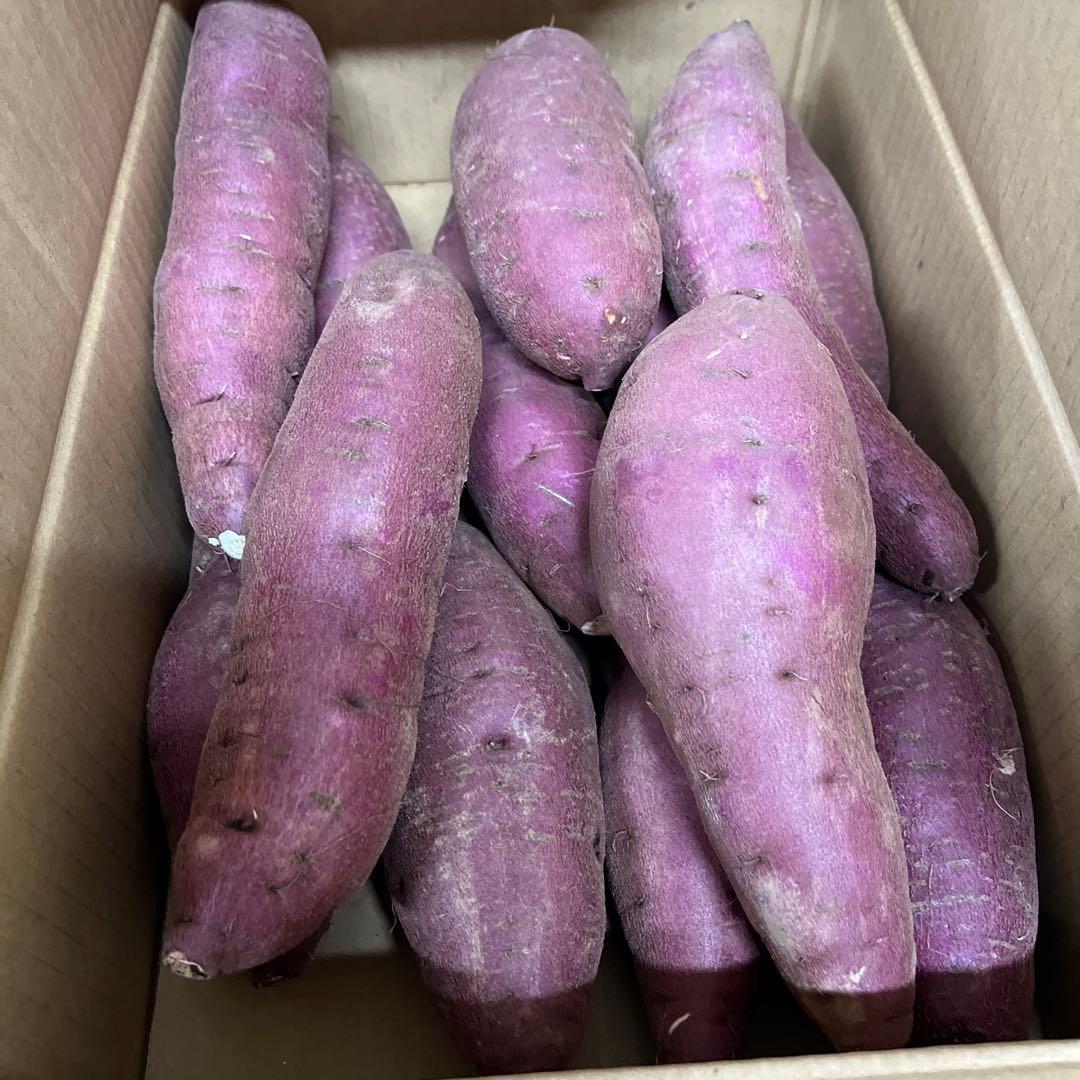 栗かぐや Lサイズ 20kg ホクホク系