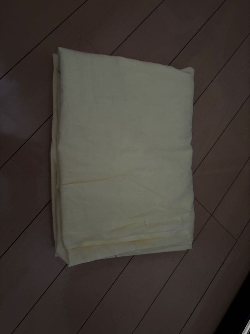 ラッセン版画エンブレイシング・ザ・ライト　ミクストメディア　手色彩　サイン　大型