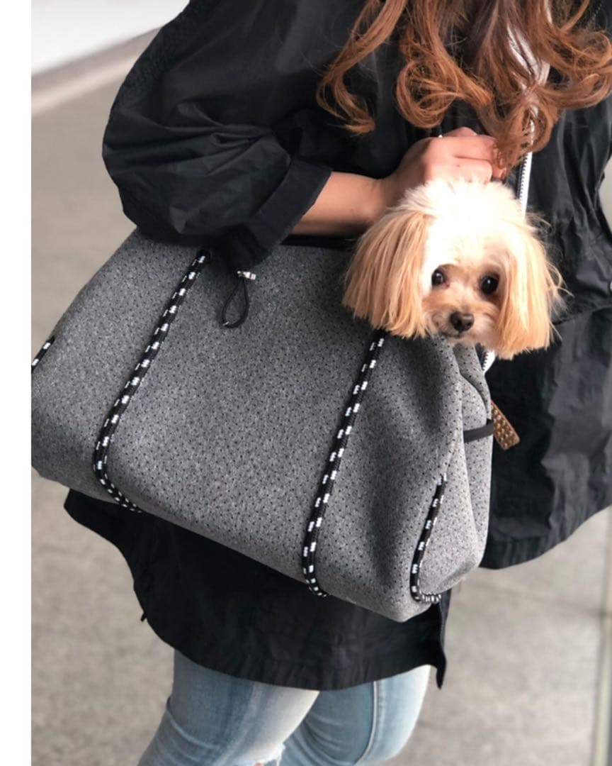 BESTIE PET ペットキャリー ペットバッグ ショルダーバック 犬