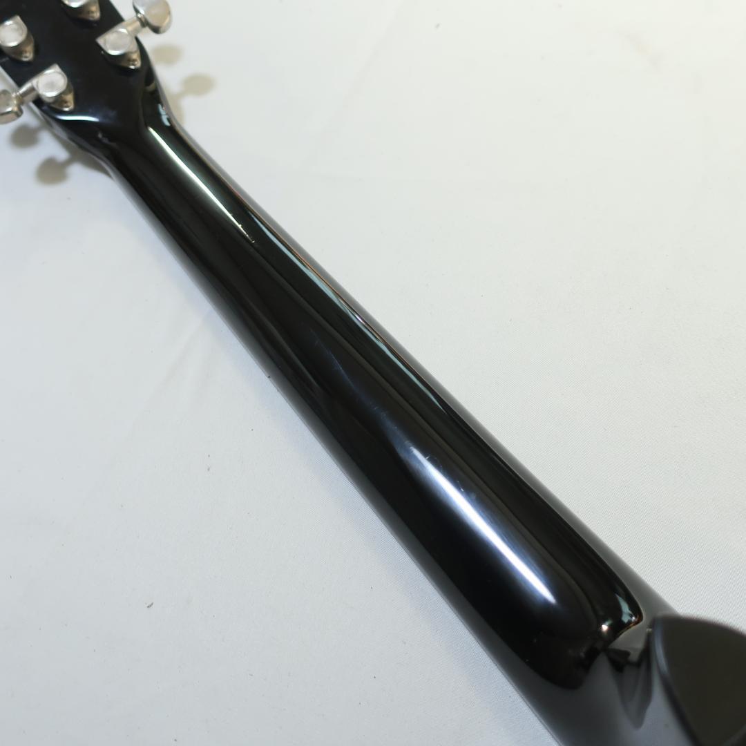 Aria Dreadnought AF-280BK ギター ケース付