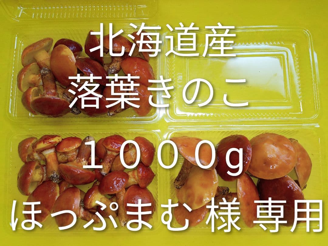 天然きのこ　北海道産落葉きのこ 1000g 　ハナイグチ　ほっぷまむ 