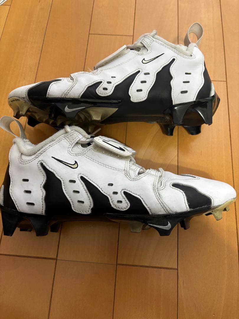 日本未発売モデル　NIKE DT MAX96 26cm