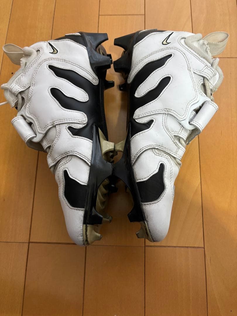 日本未発売モデル　NIKE DT MAX96 26cm