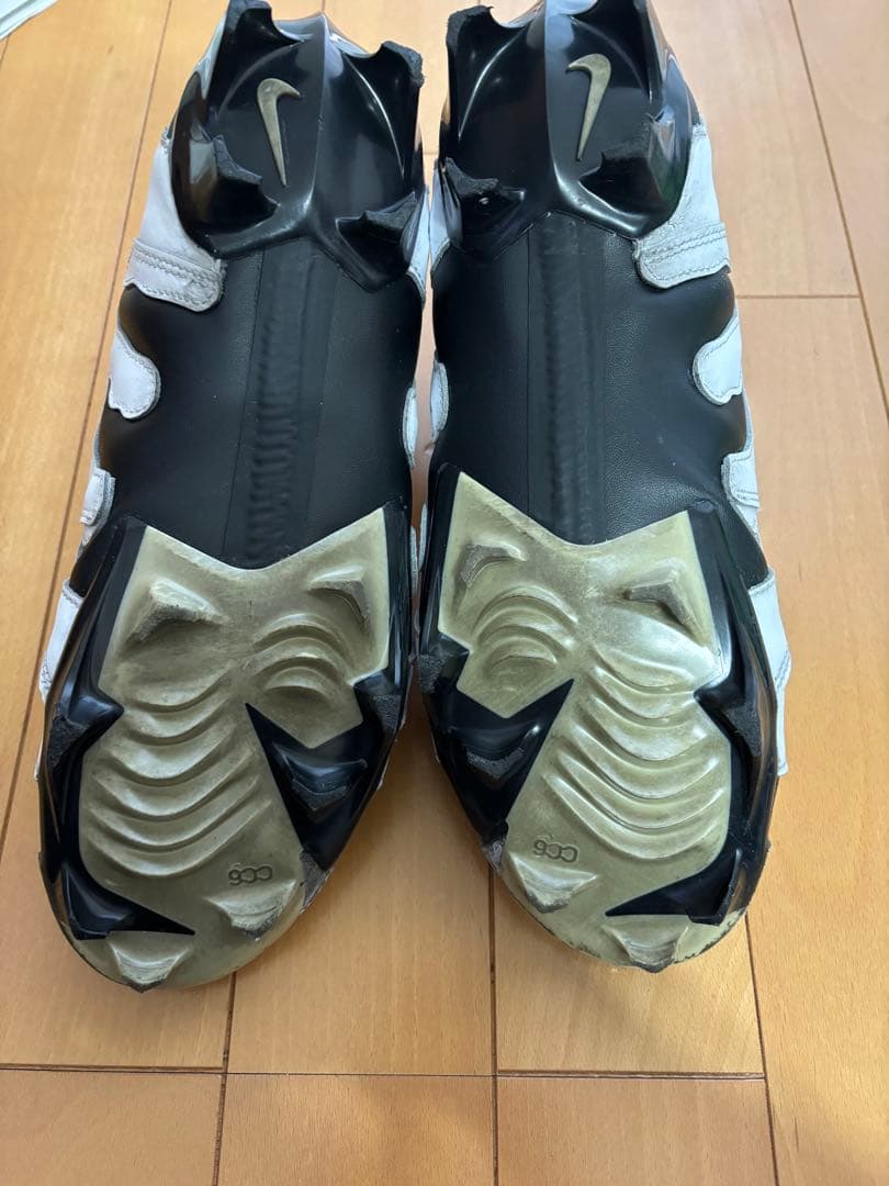 日本未発売モデル　NIKE DT MAX96 26cm