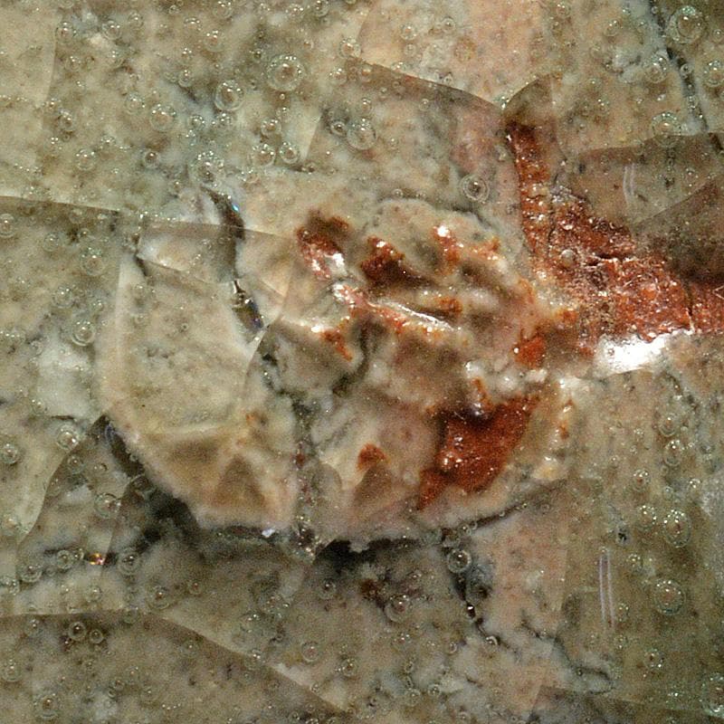 茶道具　登窯　木村盛和作　自然灰釉　茶碗　共布共箱　C　R7477