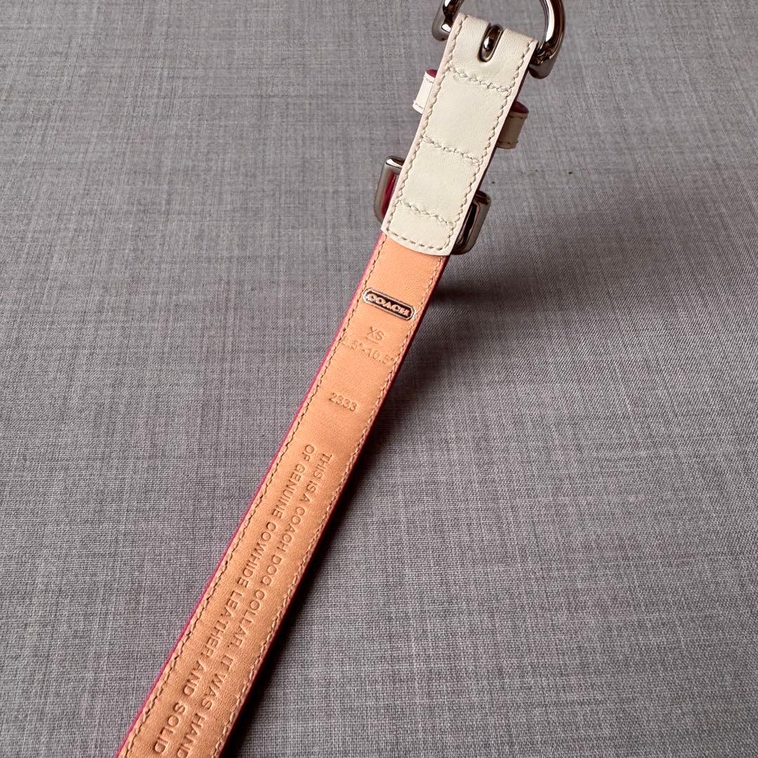 未使用 COACH コーチ ドッグカラー 小型犬様 ドット柄