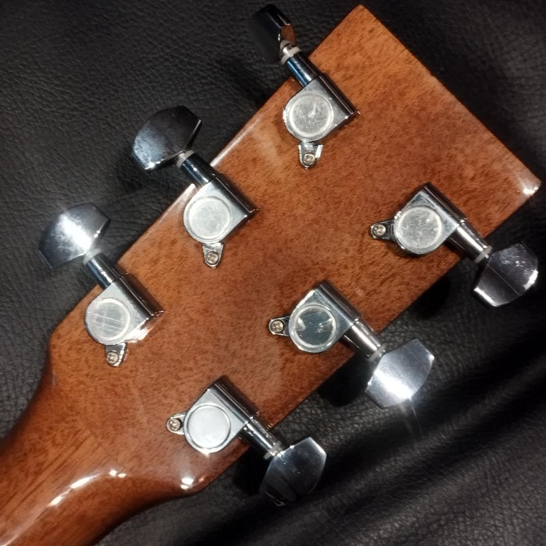 HONEY BEE ハニービー アコースティックギター W-15N