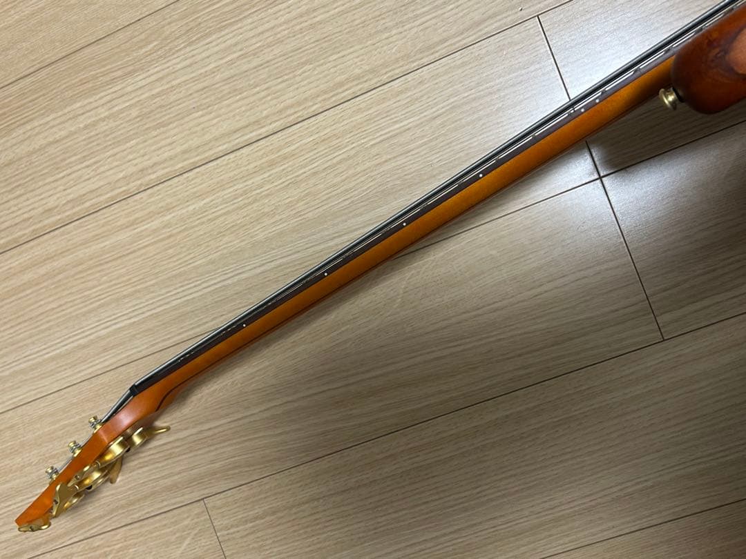 SCHECTER 5弦ベースstiletto studio5＋ソフトケース付き