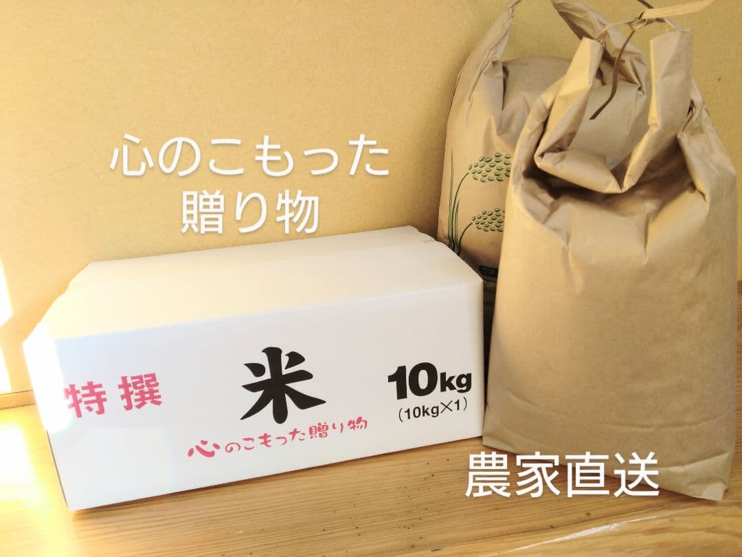 令和7年 自然栽培米 亀の尾10kg玄米