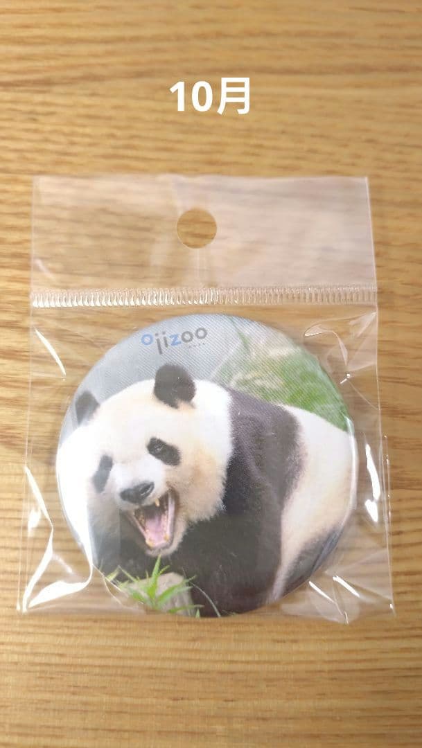 タンタン　缶バッジ　9個セット