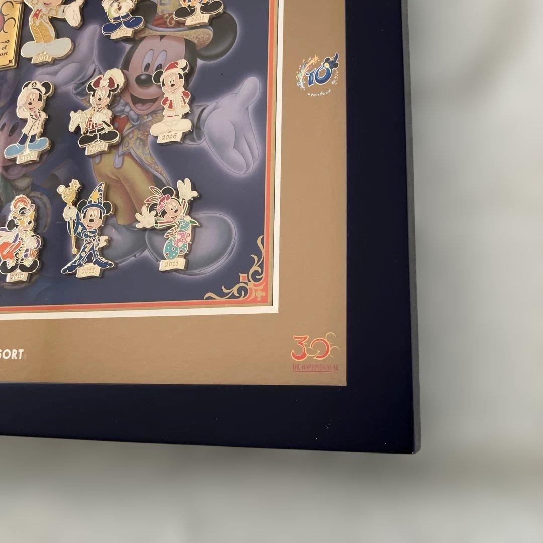 東京ディズニーリゾート 30周年 ピンバッジコレクション 額装