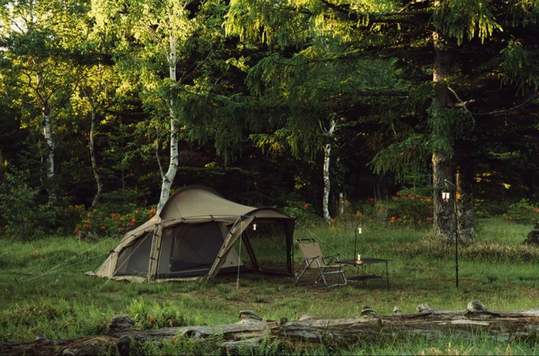 ZANE ARTS（ゼインアーツ）「UKA（ウカ）」