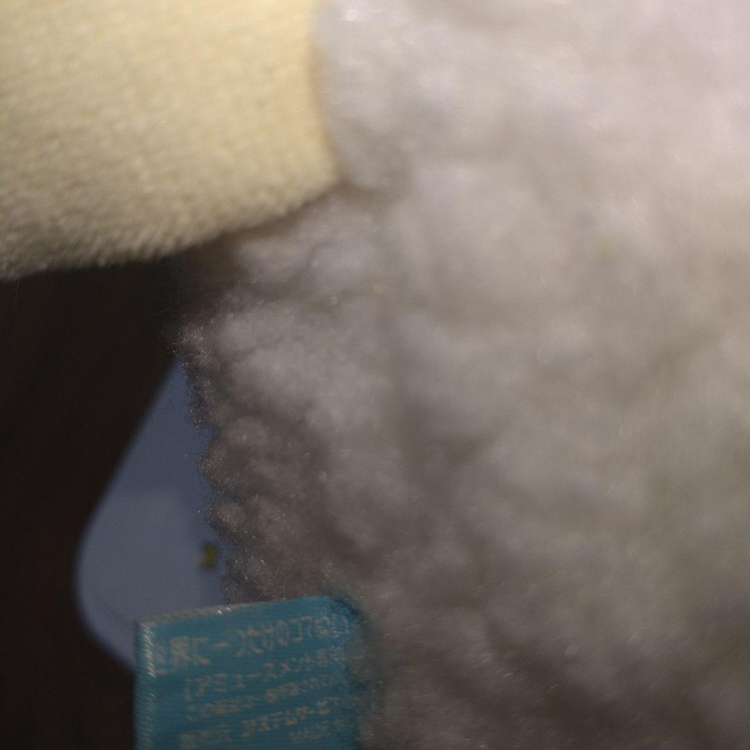 希少　めえゴマ　まめゴマ　激レア