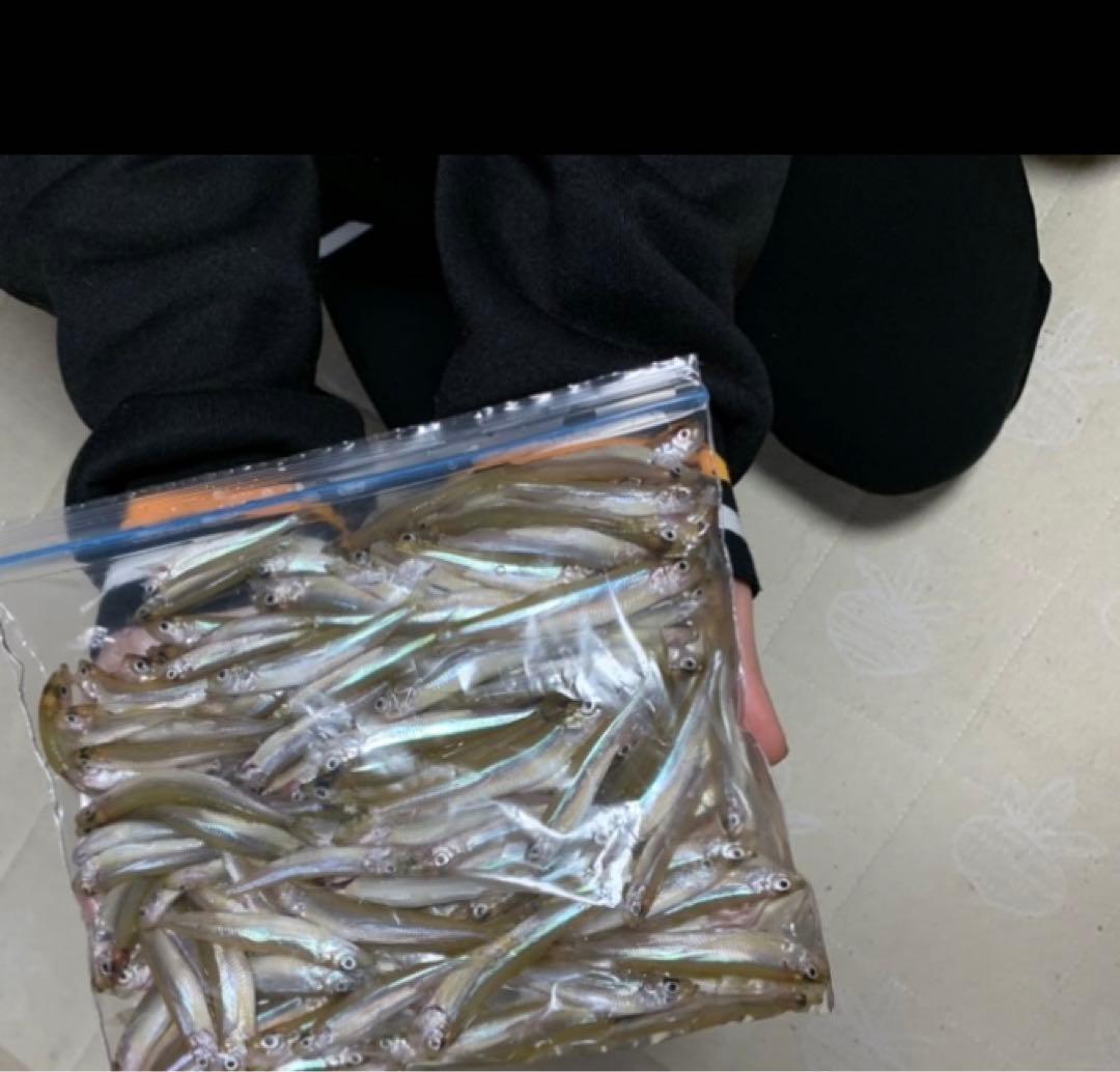 ワカサギステンレス穂先　右手用 左手用2セット