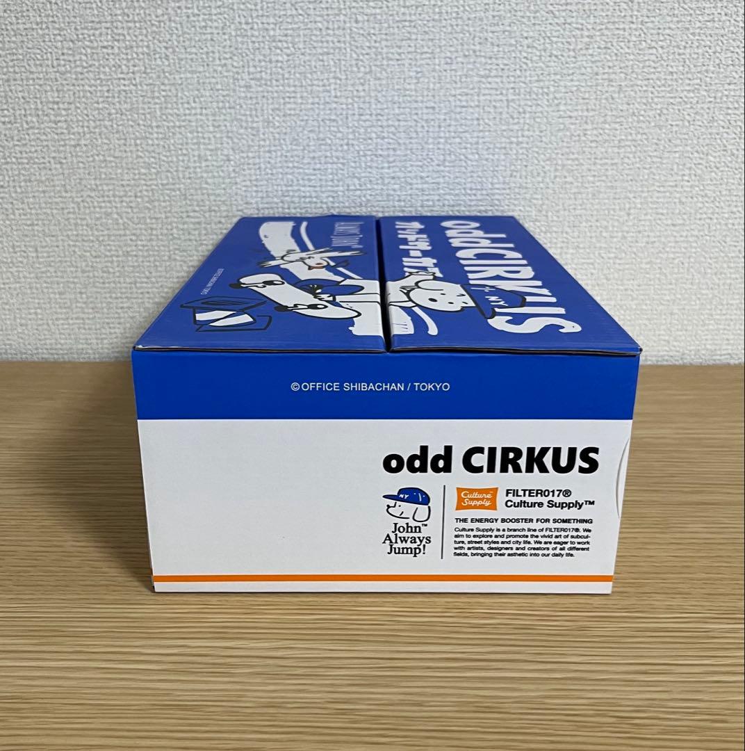 大幅値下げ中❗️ スケータージョン ソフビ SKATER JOHN