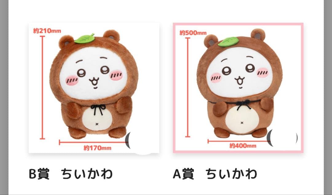 たぬきだもんくじ