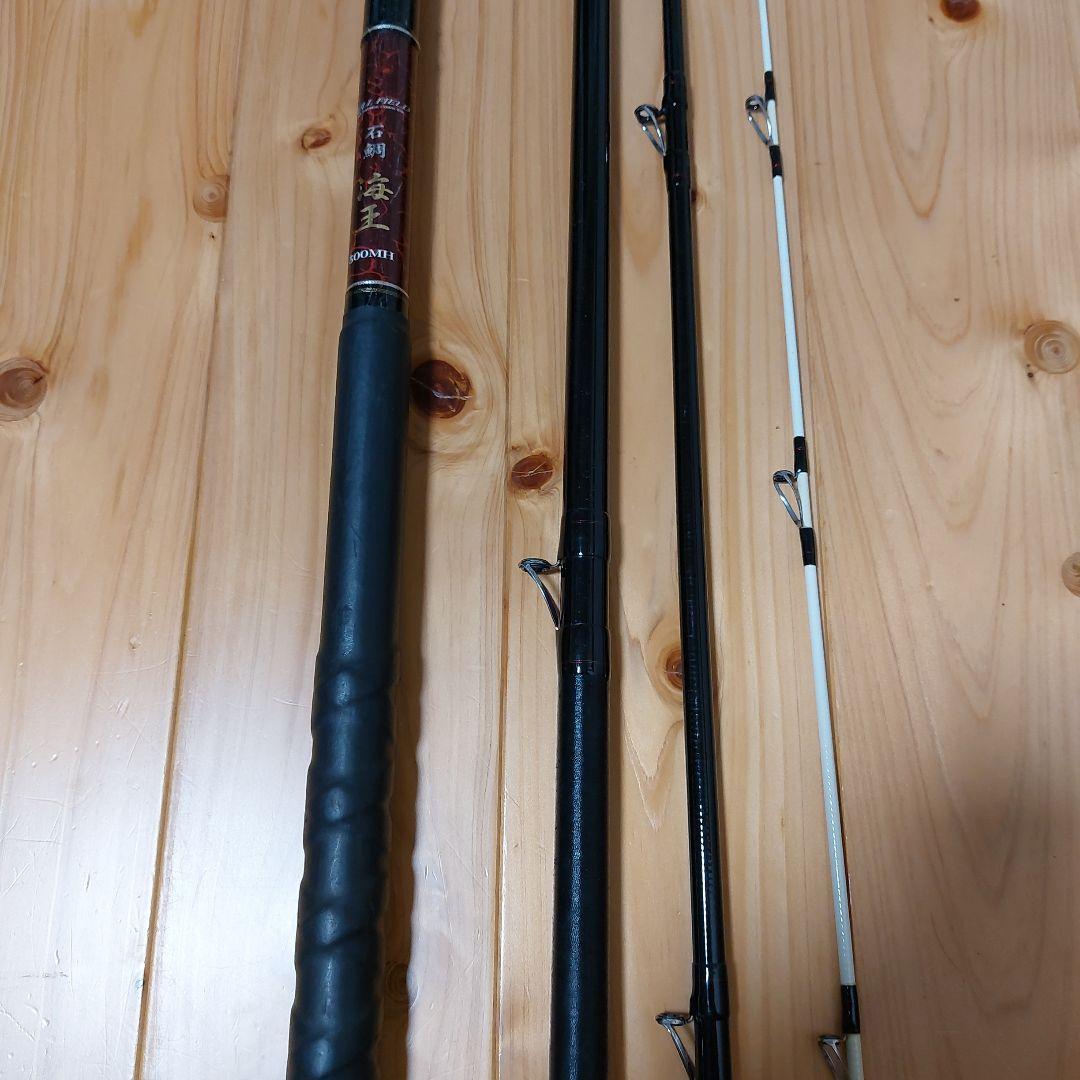 ダイコーフルフィールド石鯛海王