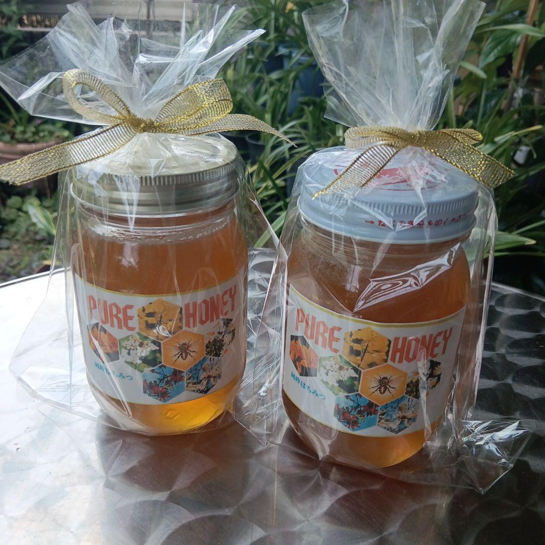 ぽこです。　　ニホンミツバチの百花蜜　国産天然ハチミツ　580グラム　2本
