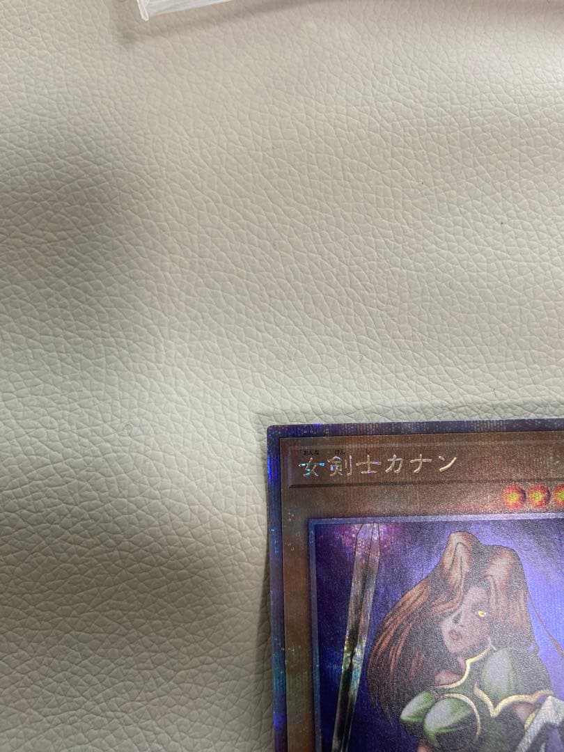 テイコウペンギン　女剣士カナン　25th クオシク