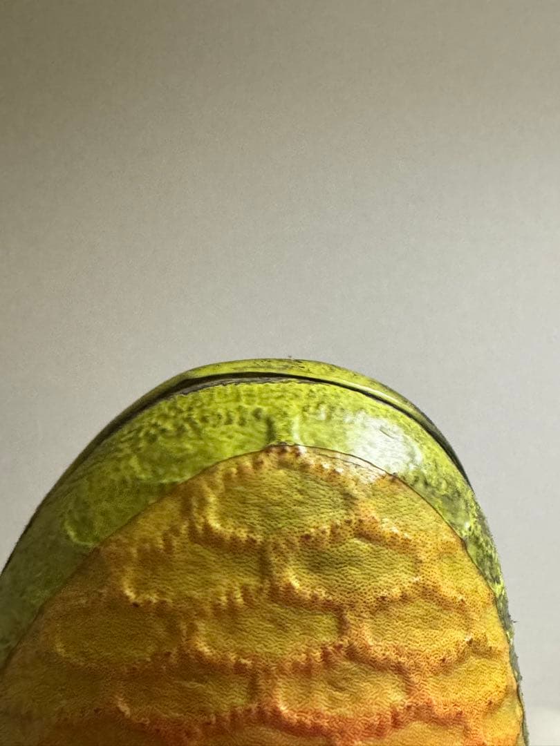 マジスタ オブラ 27cm 2足セット