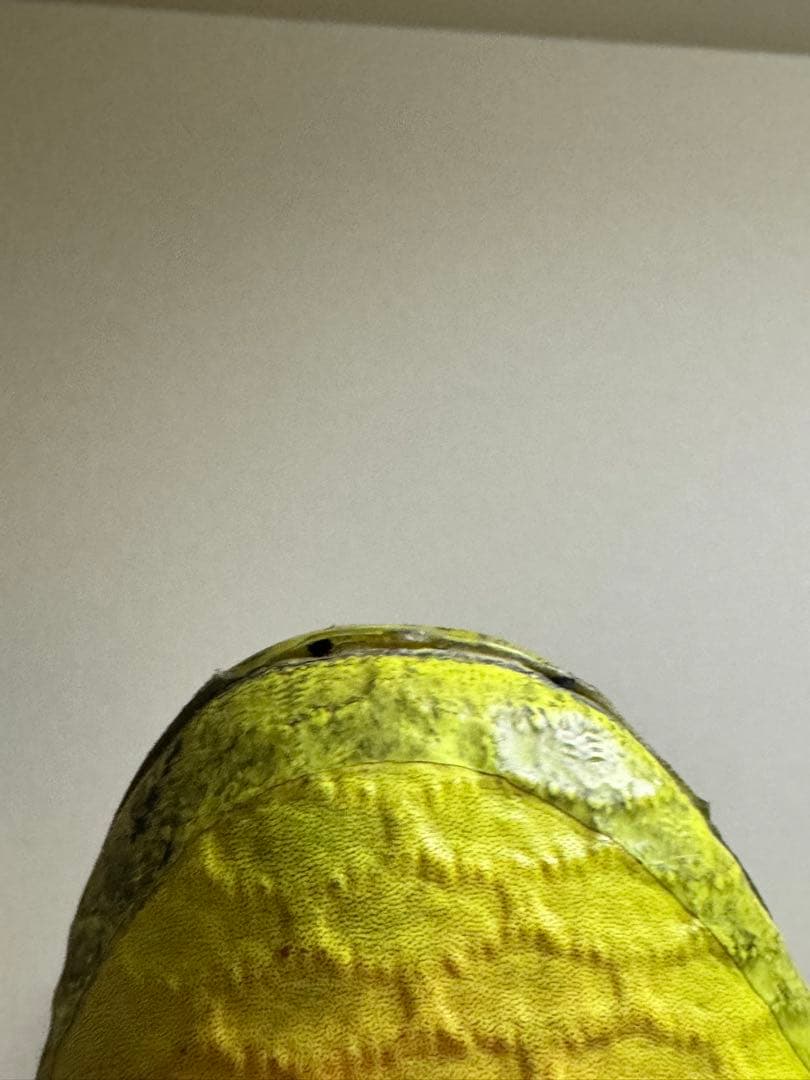 マジスタ オブラ 27cm 2足セット