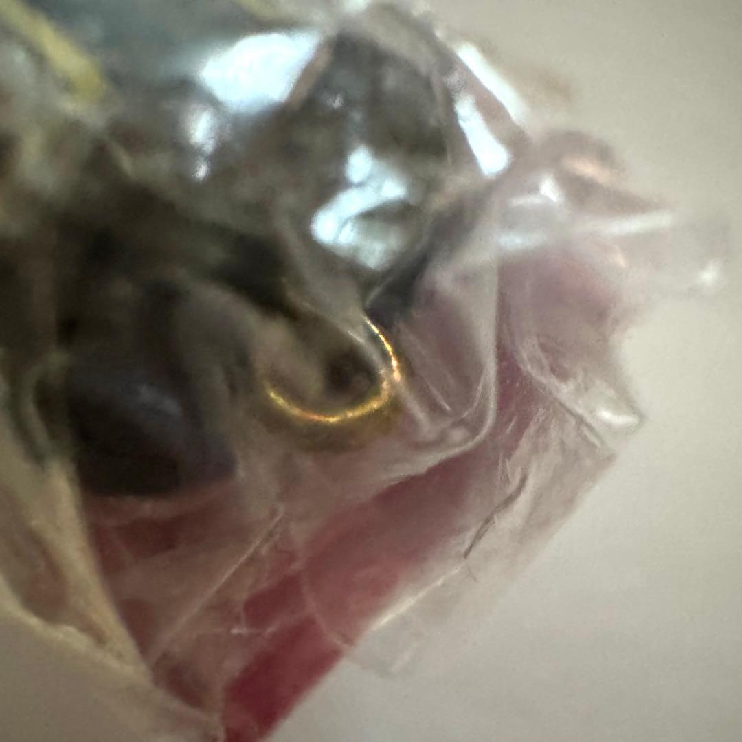 銀魂　キャラフォーチュン　みくじ　大江戸警察24時編　11個セット　チャーム