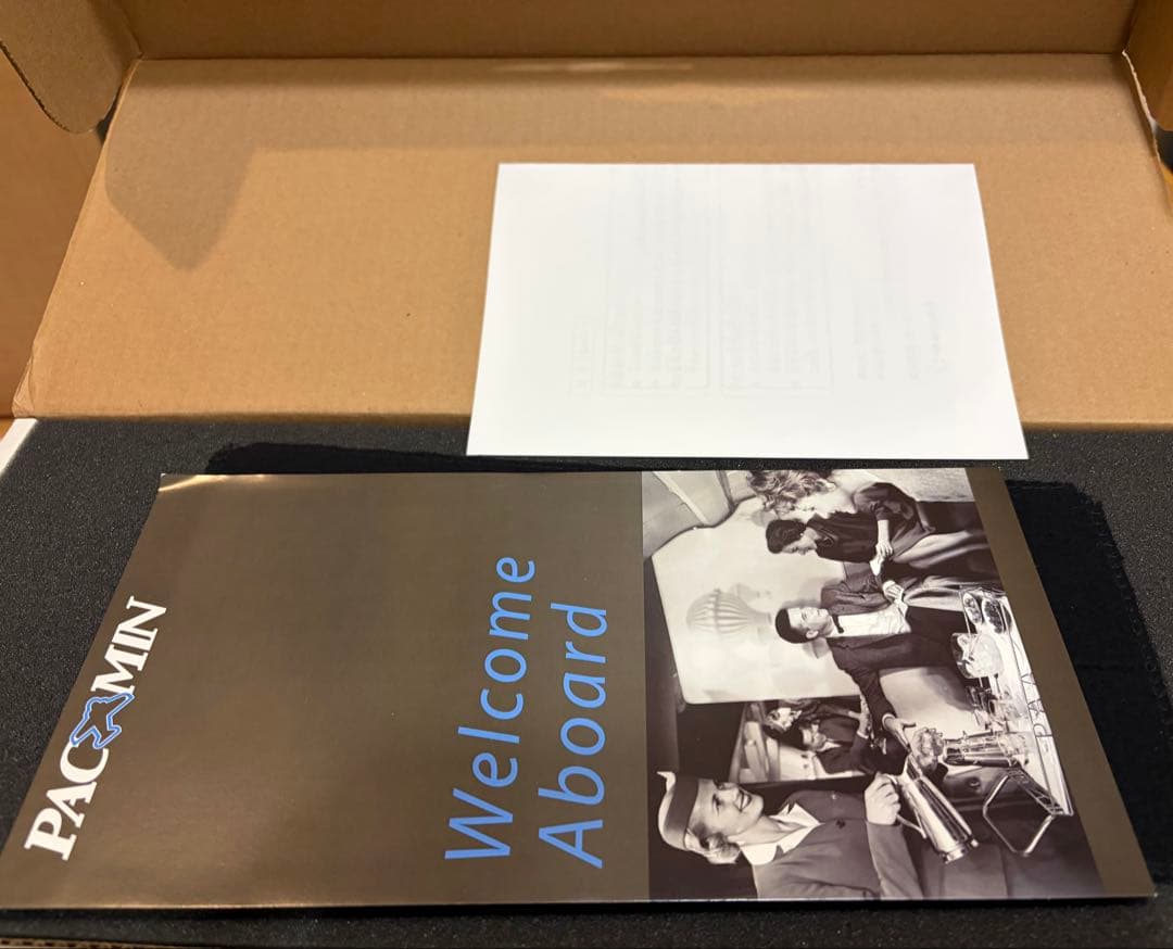 1/100 pacmin B737-800 ソラシドエア　模型