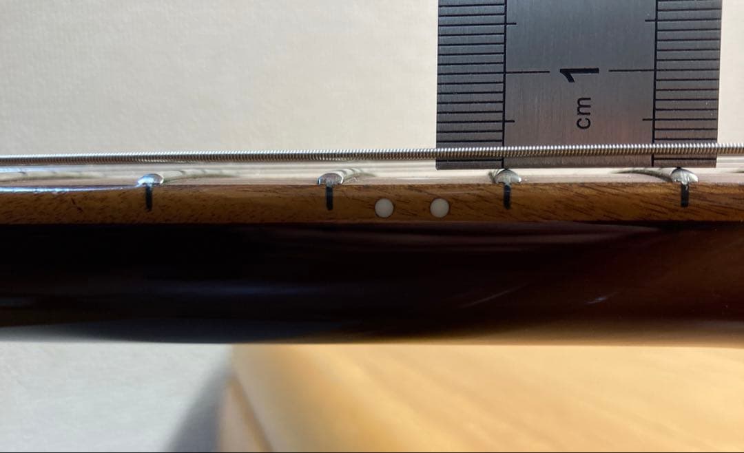 Edwards エドワーズ E-FV-120