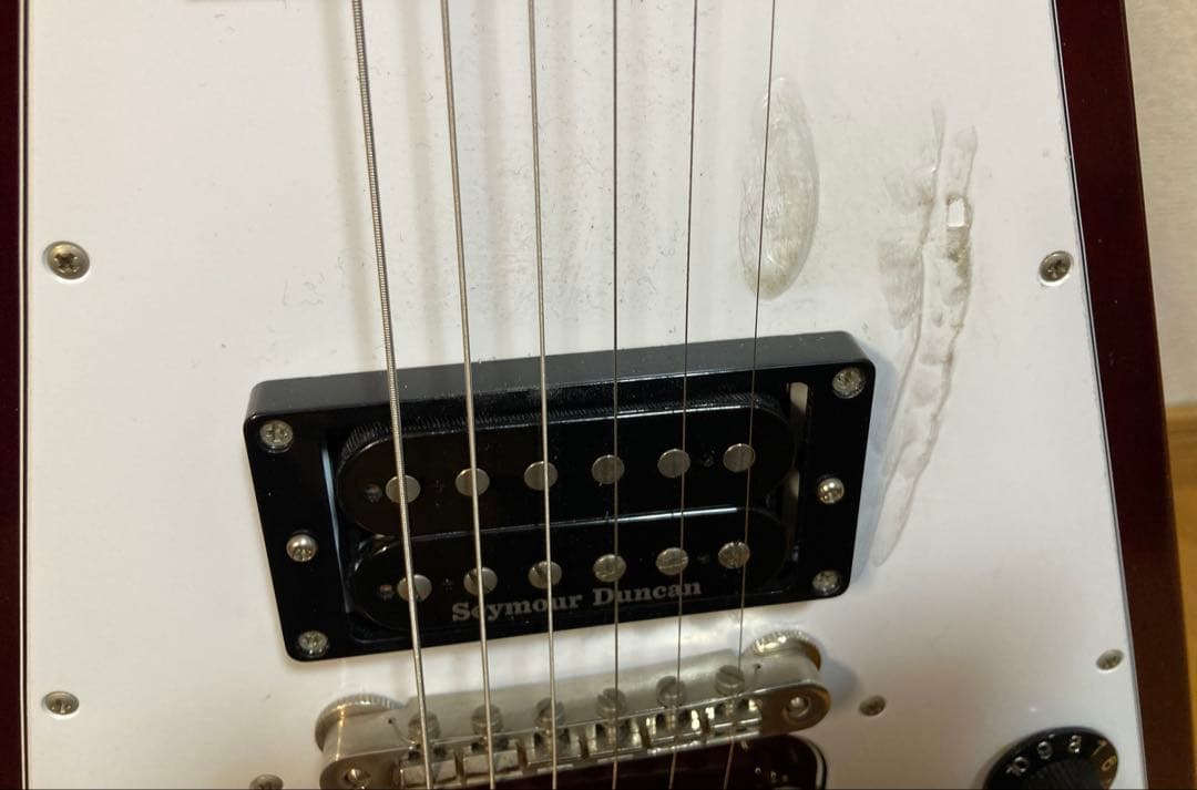 Edwards エドワーズ E-FV-120