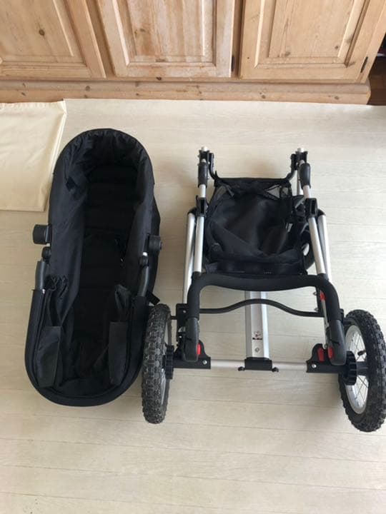 Mr. Mac  ドギーバギー＊フレンチブルドッグ