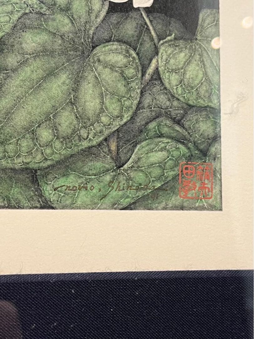 篠田教夫「棘のある休息」1991年 鉛筆・水彩画 額装済