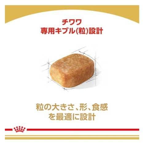  CANIN チワワ用 ドライフード 12kg